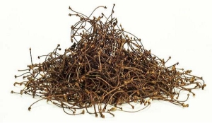  - Dried Cherry Stalks Stems