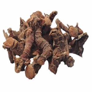  - Galangal Dried