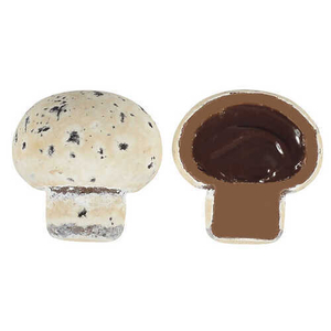  - Inside Cream Chocolate Mushroom