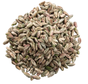  - Pistachio Raw Kernels Green