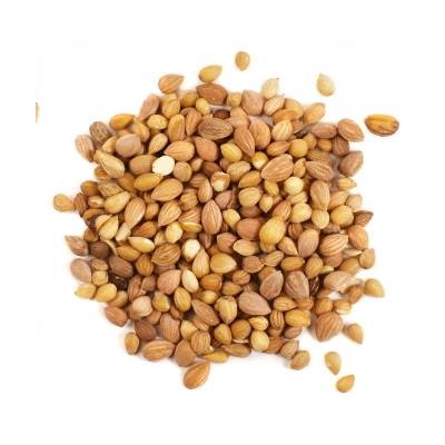 Mahleb Seeds