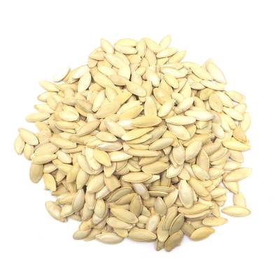 Pumpkin Seed