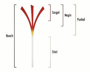 Pure Negin Saffron