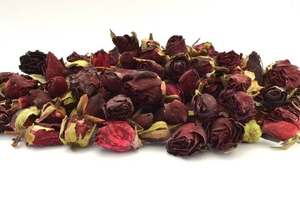  - Dark Red Rose Buds